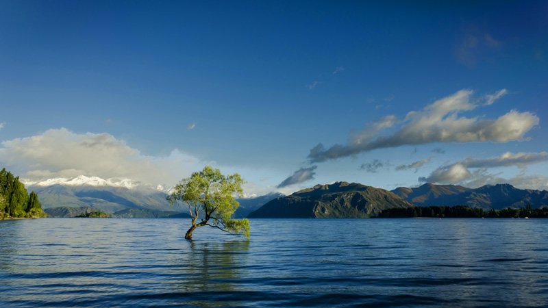 04_jasper-van-der-meij-Xo3uIN_Q1Y0-unsplash